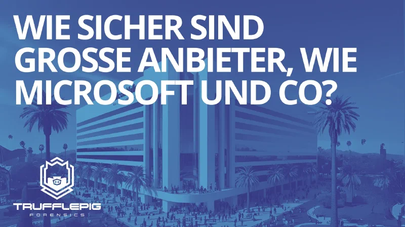 Vorschaubild: Cormorate Building in Sillicon Valley - KI