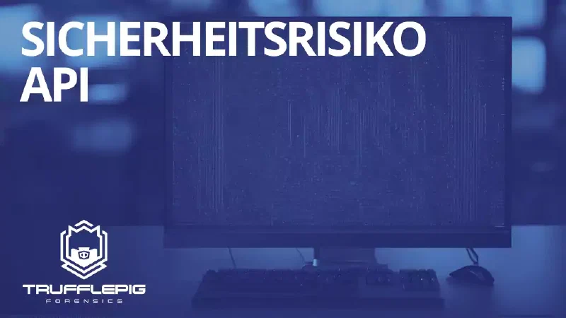 Vorschaubild: Sicherheitsrisiko API
